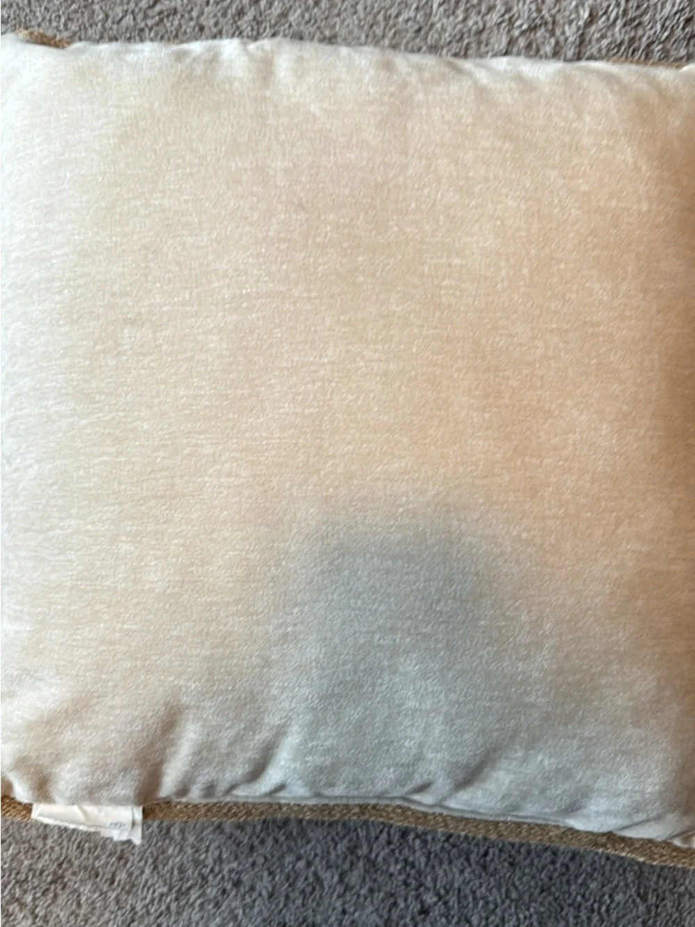Halloween decor pillow